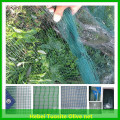 green new hdpe plastic olive net,hdpe monofilament net